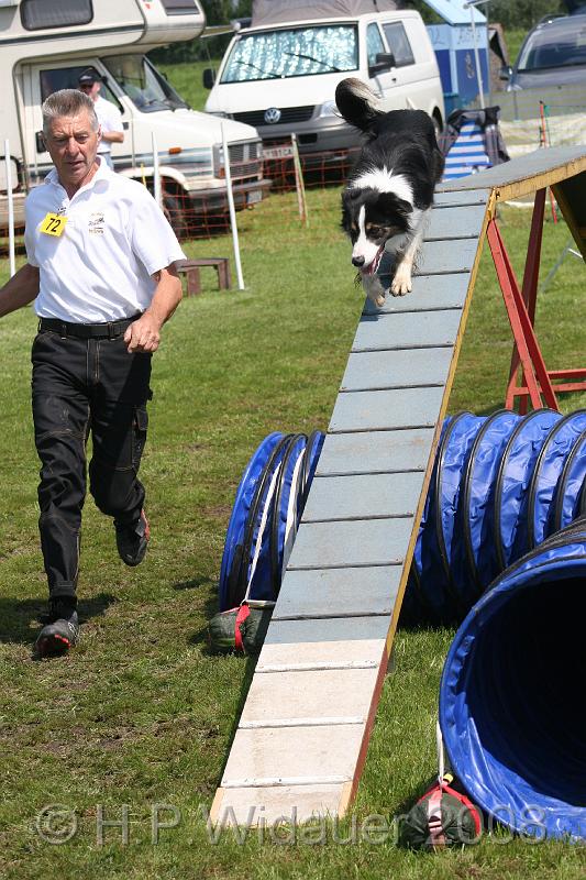 jubil.lusten. 270.jpg